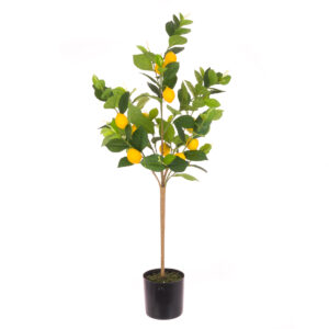 Lemon Tree In Pot 92cm-0