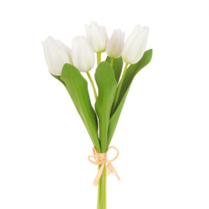 Fresh Touch PU Tulip Bundle x7 White/Green-0