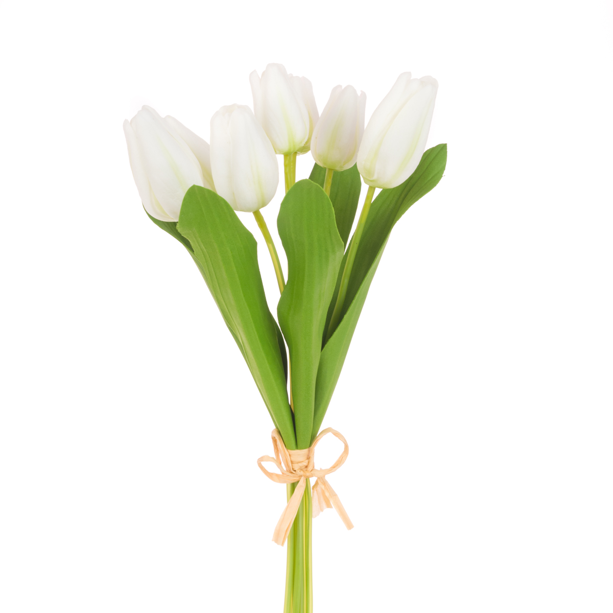 Fresh Touch PU Tulip Bundle x7 White/Green-0