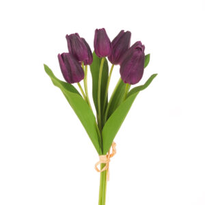 Fresh Touch PU Tulip Bundle x7 Aubergine-0