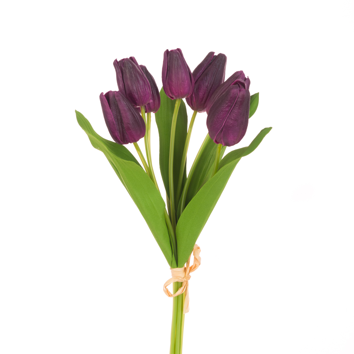 Fresh Touch PU Tulip Bundle x7 Aubergine-0