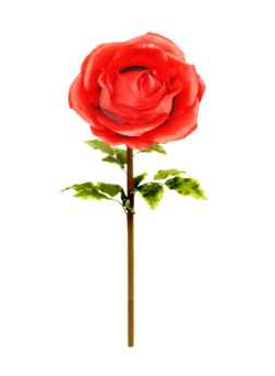 130cm Red Rosebud Stem-0