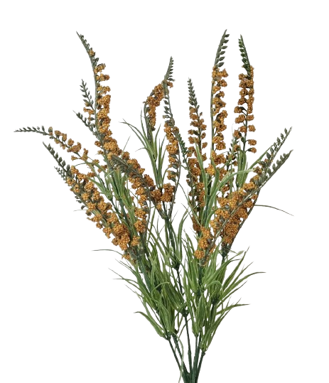 54cm Orange Salvia Bush-0