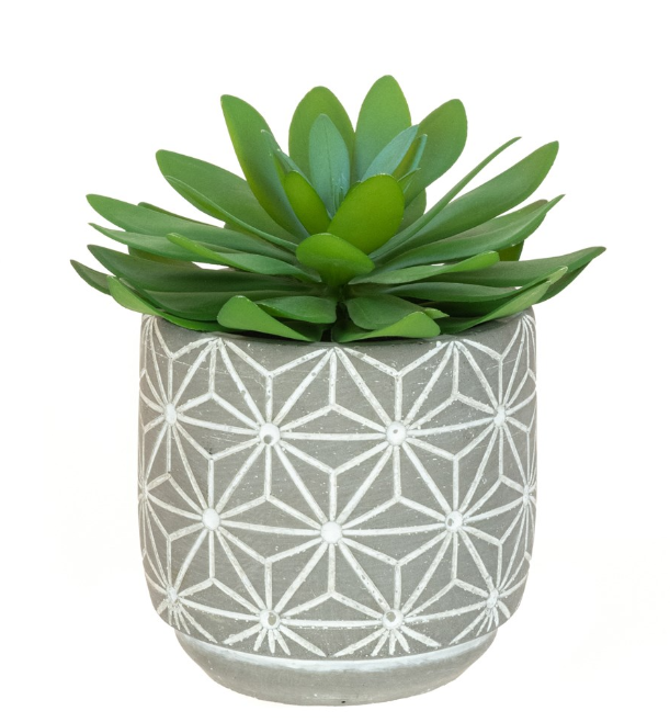 Cactus In Geometric Pot 14cm (P18091)-0