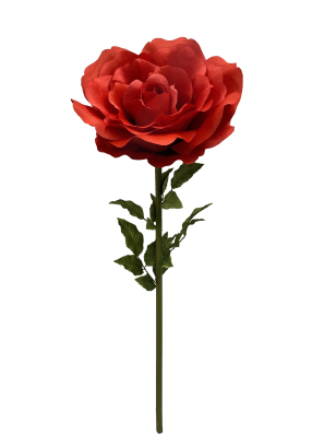 130 x 50cm Red Open Rose Stem-0