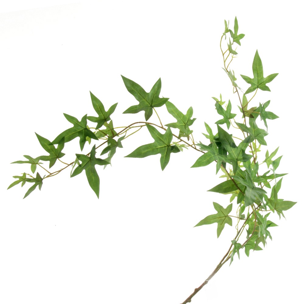 Needle Ivy Trail - Green (94cm long)-0