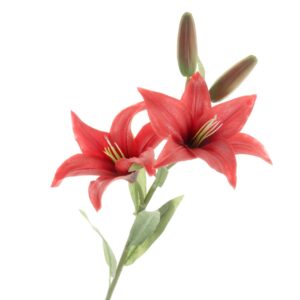 Real Touch Lily Spray - Red (2 heads & 2 buds, 65cm long)-0