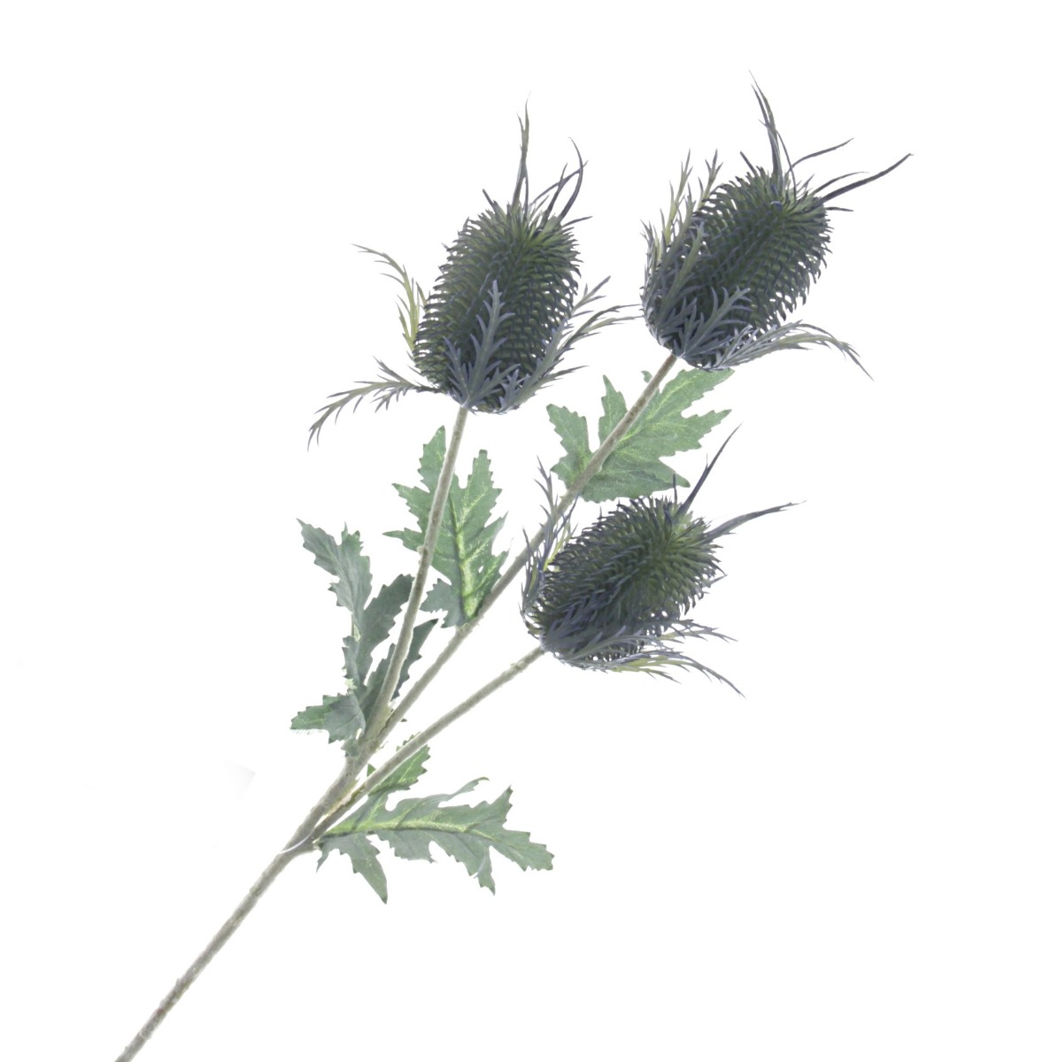 Eryngium Spray - Green/Blue (3 heads, 67cm long)-0