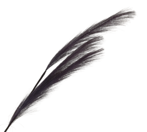 82cm Pampas Grass (Artificial) Spray Purple-0