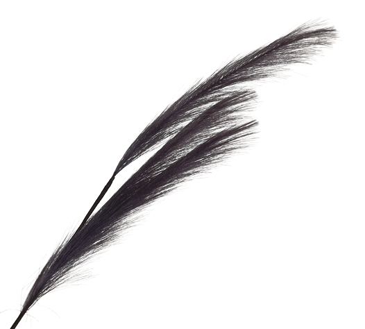 82cm Pampas Grass (Artificial) Spray Purple-0