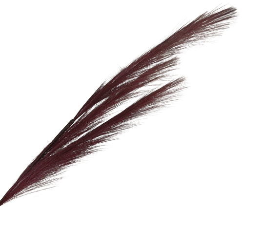 82cm Pampas Grass (Artificial) Spray Burgundy-0