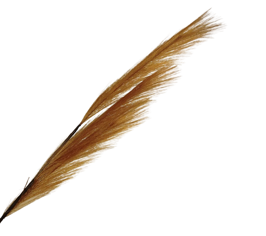 82cm Pampas Grass (Artificial) Spray Copper-0