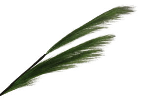 82cm Pampas Grass (Artificial) Spray Green-0