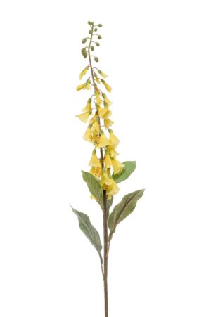 Digitalis Spray Yellow 120cm-0