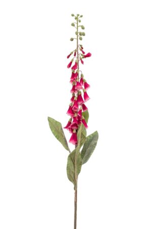 Digitalis Spray Fuchsia 120cm-0