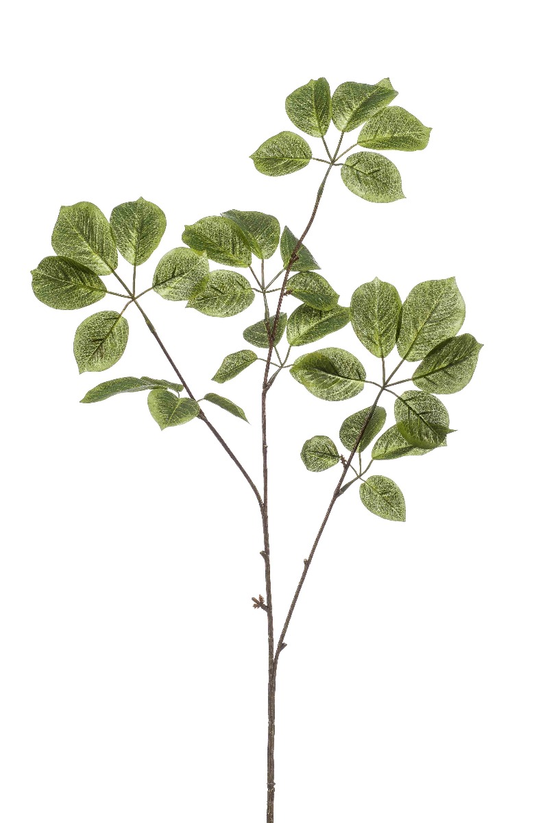 Baby Schefflera Spray Green 87cm-0