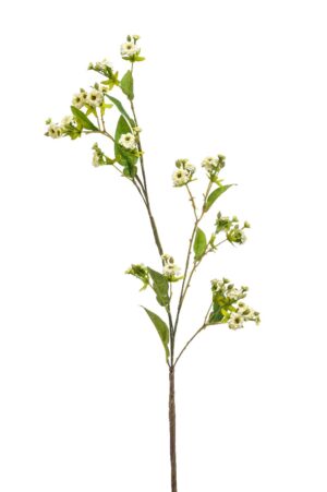 Rose mini Spray White/Green 92cm-0