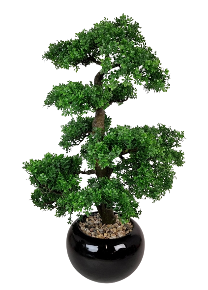 70cm Bonsai In Black Pot-0