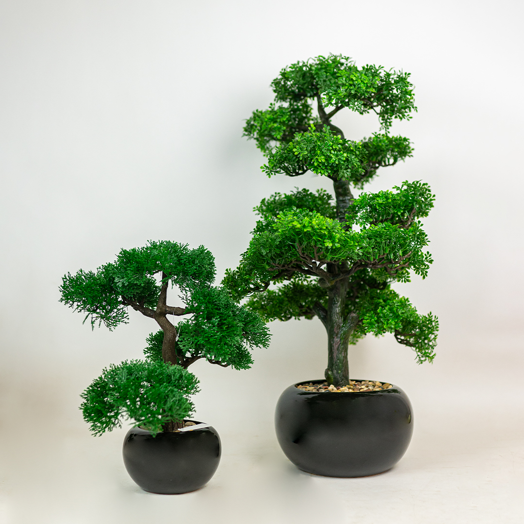 70cm Bonsai In Black Pot-24820