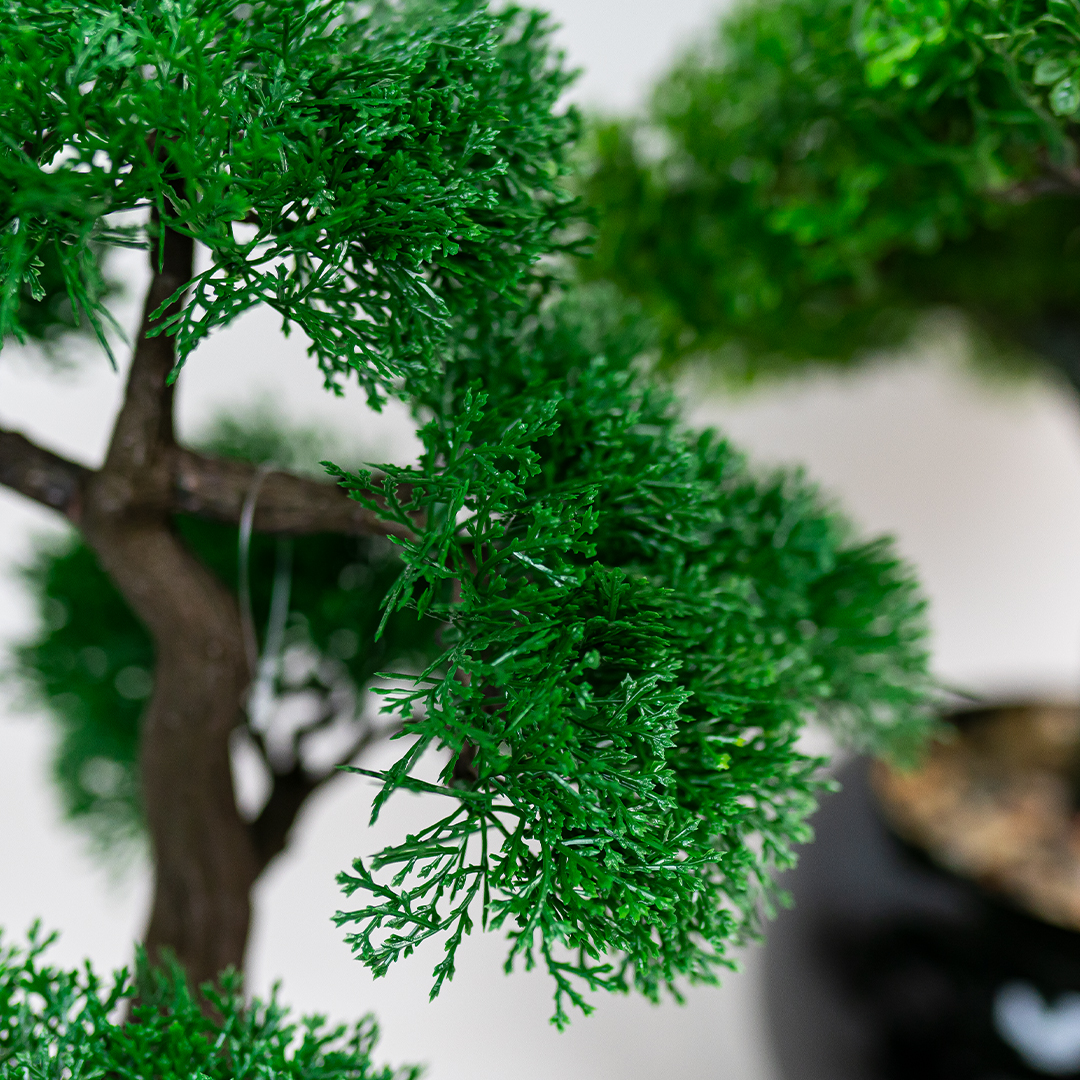 70cm Bonsai In Black Pot-24821