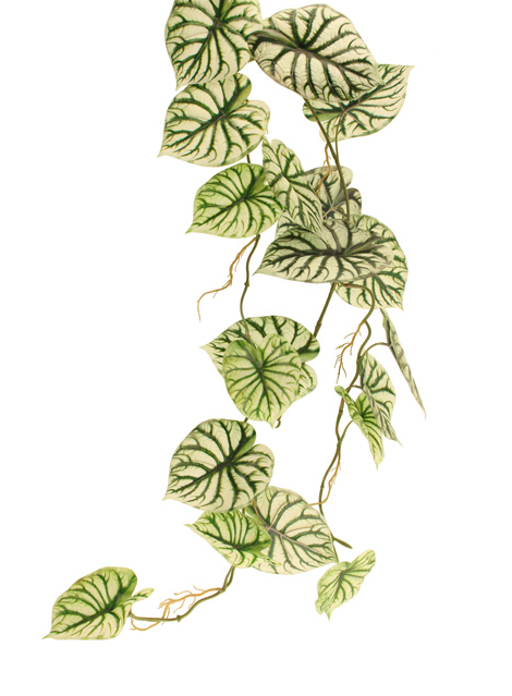 120cm Caladium Garland Green/White-0