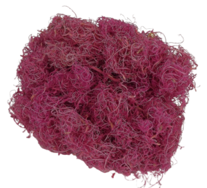 Curly Moss x 350g Orchid-0