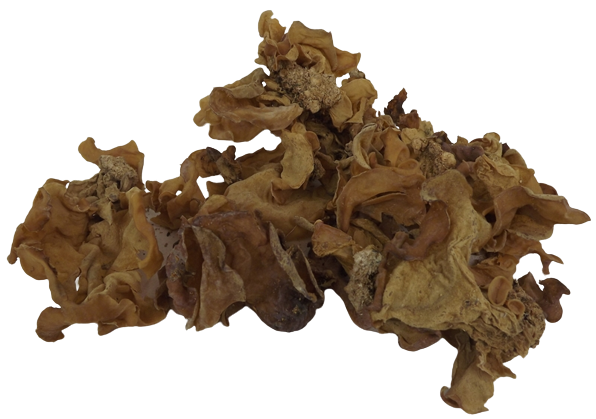 Mushroom Curled Natural White x 150g-0