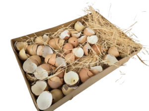 Broken Hen Shells Brown-0