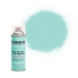 OASIS® Spray Colour Duck Egg Blue-0