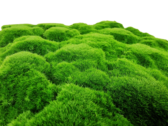 30cm Artificial Moss Tile - Green (30cm x 30cm)-25035