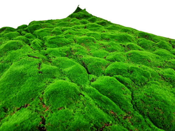 100cm Artificial Moss Tile - Green (100cm x 100cm)-0