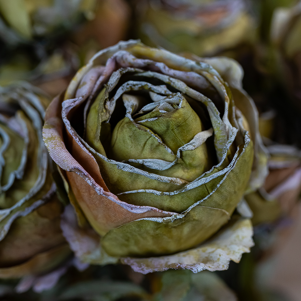 Vintage Antique Rose Faux Dried Flowers Green (4 heads, 54cm long)-25240