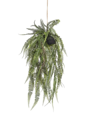 Fern Bush Hanging On Ball 70cm-0