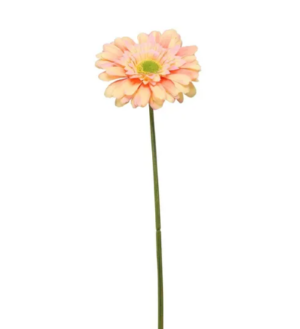 Single Gerbera 72cm Peach-0