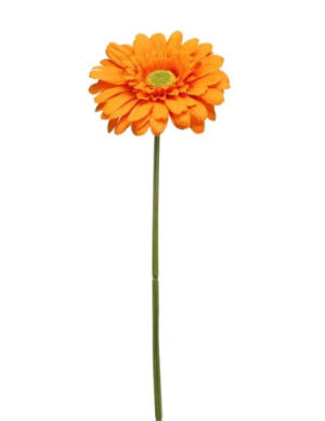 Single Gerbera 72cm Orange-0