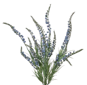 54cm Blue Salvia Bush-0
