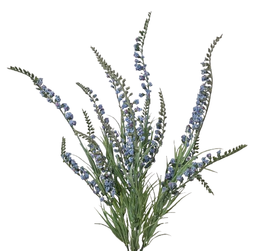 54cm Blue Salvia Bush-0