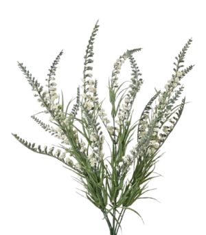 54cm Cream Salvia Bush-0