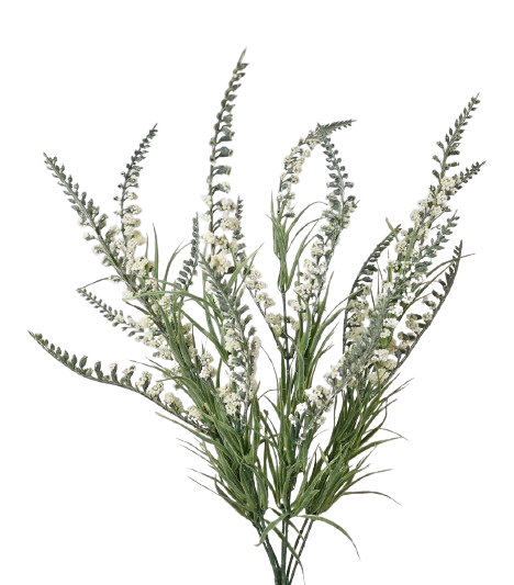 54cm Cream Salvia Bush-0