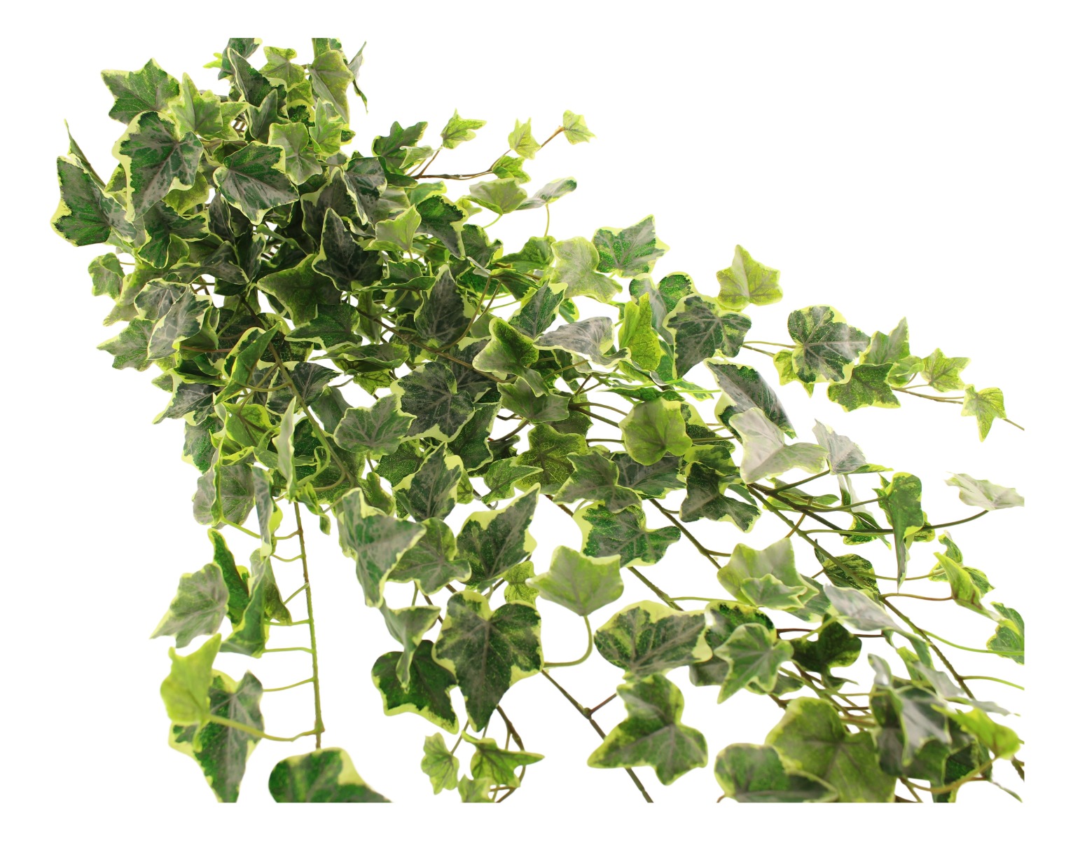 183cm Outdoor Variegated Artificial Ivy Trailing Bush WR-0