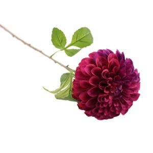75cm Ball Dahlia Purple-0