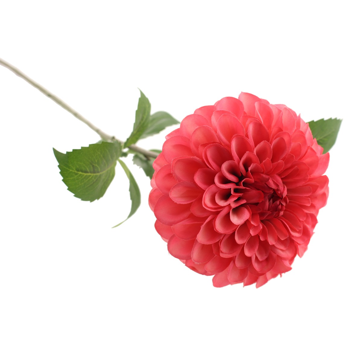 75cm Ball Dahlia Pink-0