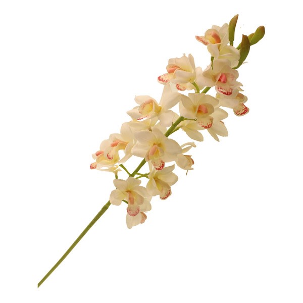 83cm Cymbidium Orchid Spray Cream-0