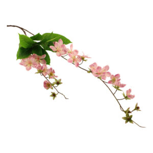 107cm Claire de Lune Clematis Pink-0