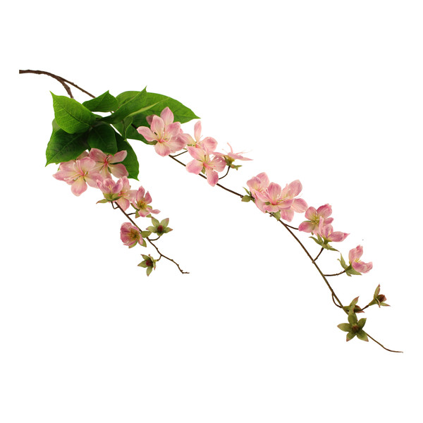 107cm Claire de Lune Clematis Pink-0