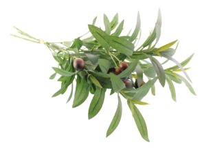 Artificial Olive Bundle 58cm-0