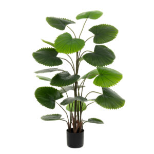 FT Fan Palm - 145cm-0