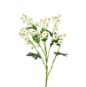 Meadow Daisy Spray White 61cm White-0