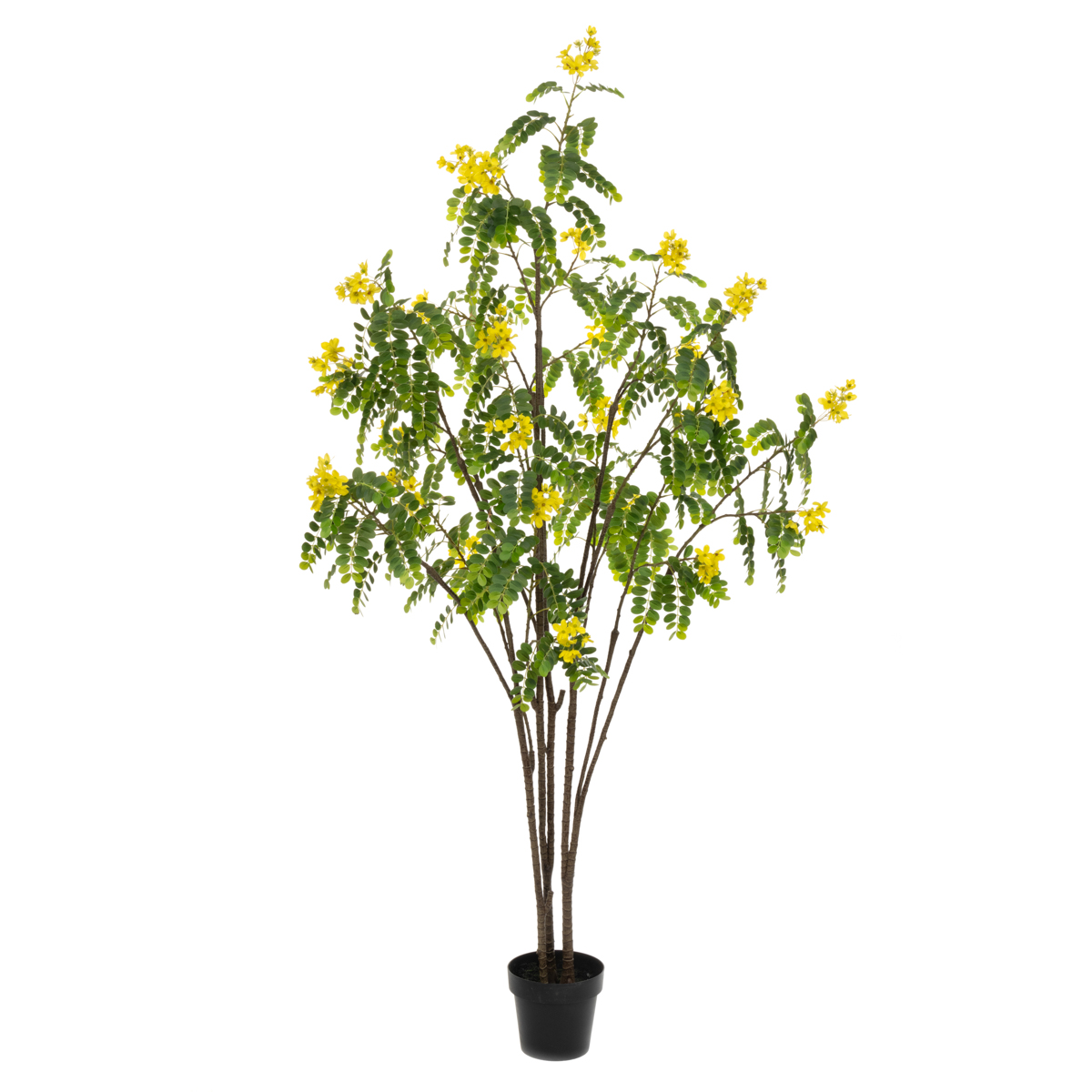 Sunshine Tree 210cm-0