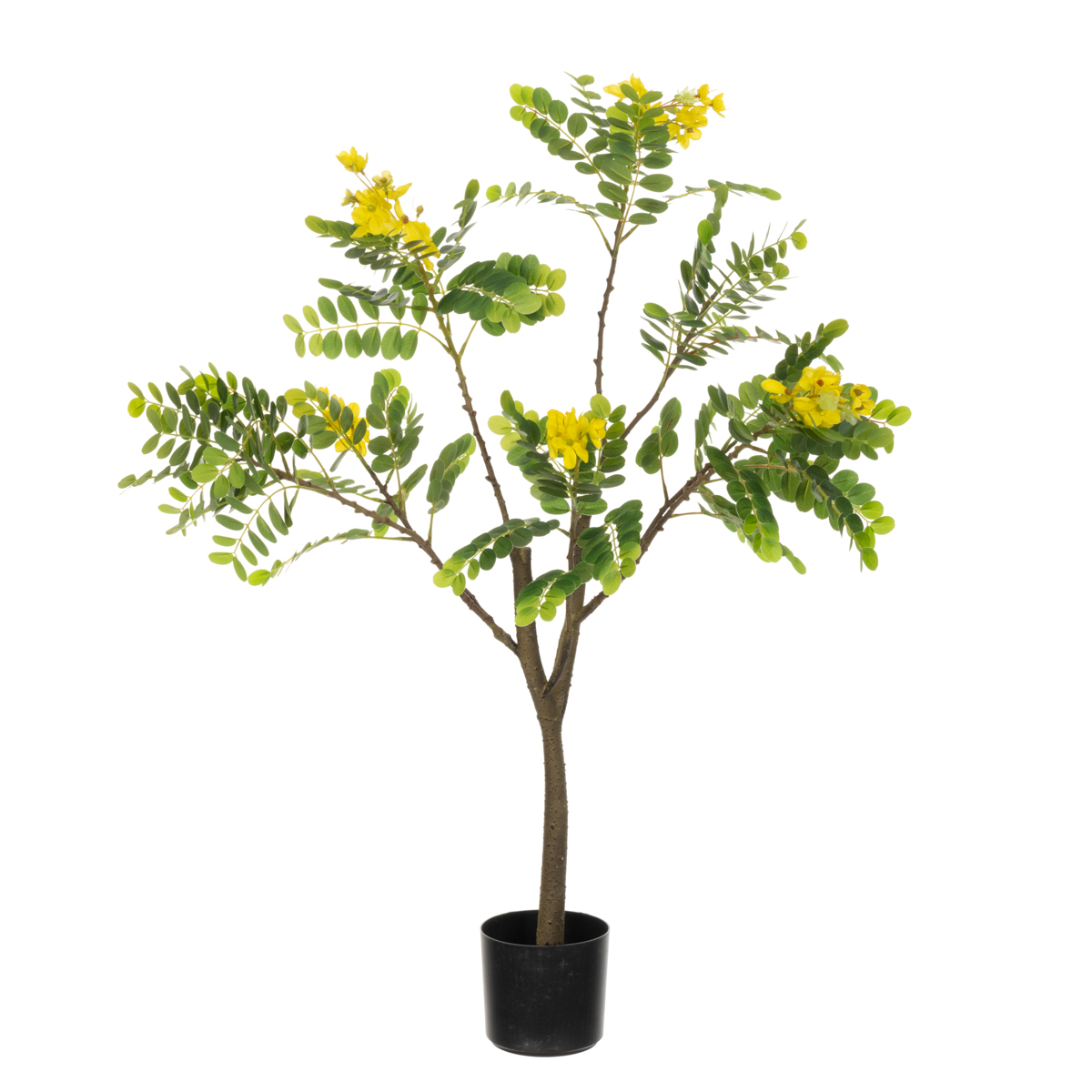 Sunshine Tree 94cm-0